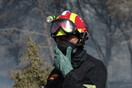 WWF: Μία πυρκαγιά είναι και ένα οικονομικό μέγεθος - Χρειάζεται πρόληψη