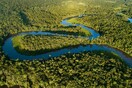 ΗΠΑ: Η ΙΚΕΑ αγόρασε 44.000 στρέμματα δάσους για να τα προστατεύσει