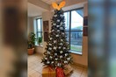 Αστυνομικό τμήμα στόλισε χριστουγεννιάτικο δέντρο με φωτογραφίες υπόπτων και προκαλεί οργή