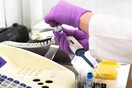 Επιστήμονες συλλέγουν σπέρμα για να δουν τις επιπτώσεις του κορωνοϊού στις επόμενες γενιές