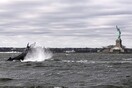 Νέα Υόρκη: Μία φάλαινα κολυμπά στον πoταμό Χάντσον [ΕΙΚΟΝΕΣ&ΒΙΝΤΕΟ]