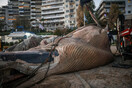 Φωτογραφίες: Νεκρή φάλαινα εντοπίστηκε στον Πειραιά
