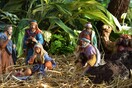 Βραζιλία: Ένας μαύρος Ιησούς γεννιέται στα απανθρακωμένα δάση της Αμαζονίας