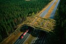 Οι γέφυρες που σώζουν εκατομμύρια ζώα από θάνατο - Τώρα και η Σουηδία υιοθετεί αυτή τη λύση