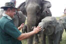Ο Ινδός γιατρός που έχει φροντίσει «πάνω από 10.000» ελέφαντες- «Είμαι πιο ευτυχισμένος μαζί τους»