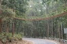 Η Ινδία έφτιαξε γέφυρα για διασχίζουν τα ερπετά με ασφάλεια τον δρόμο