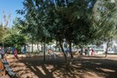 Ένα πάρκο αποκλειστικά για σκύλους στον δήμο Νέας Σμύρνης