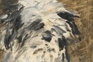 Στο «σφυρί» άγνωστος πίνακας του Μανέ με έναν σκύλο - Παρέμενε στην ίδια οικογένεια για 140 χρόνια