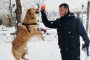 10 νέες φωτογραφίες απ' τα τέλεια ζώα των αναγνωστών μας #584