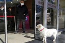 Σκύλος περίμενε υπομονετικά για μέρες έξω από νοσοκομείο: «Επέστρεφε ξανά τρέχοντας»