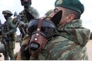Οι Ένοπλες Δυνάμεις ζητούν στρατιωτικούς σκύλους - Τα κριτήρια επιλογής