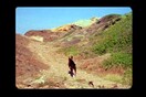 Ένα αδέσποτο σκυλί ο μοναδικός πρωταγωνιστής σε ένα νέο βίντεο κλιπ