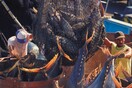 Τα δέκα πιο επικίνδυνα επαγγέλματα