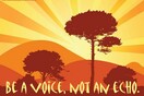 Be a voice, not an echo
