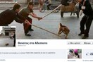 Συνελήφθη ο διαχειριστής της σελίδας «Θάνατος στα Αδέσποτα»