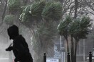 Πτώσεις δέντρων στην Αθήνα