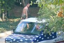 Ξαφνικά στο δάσος ο Beckham μόνο με εσώρουχα