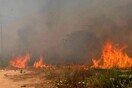 Μπαράζ πυρκαγιών στην Κρήτη