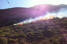 Τους πυροβόλησε επειδή βιντεοσκοπούσαν τη φωτιά