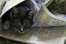 Πεταλωτής: Και δημοσιογράφοι μεγάλων εφημερίδων έπαιρναν από τα μυστικά κονδύλια