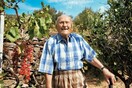 New York Times για Ικαρία: «Εκεί που οι άνθρωποι ξεχνούν να πεθάνουν»