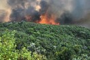 Υψηλός κίνδυνος για πυρκαγιές αύριο