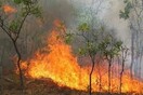 Σε ύφεση η φωτιά στη Βαρυμπόμπη - Ισχυρές δυνάμεις της Πυροσβεστικής παραμένουν στο σημείο