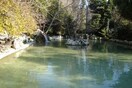 Καλαμπόκι το ύποπτο αντικείμενο στον Εθνικό Κήπο