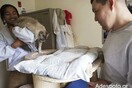 Κρατούμενοι φιλοξενούν αδέσποτες γάτες στον Καναδά