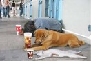 Η Ελλάδα κόβει τη συνδρομή στους τρείς Οίκους