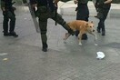Tα ΜΑΤ χτύπησαν και τον Λουκάνικο(video)