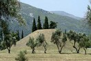 Ανάρτηση των πρώτων δασικών χαρτών στο ίντερνετ