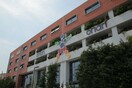 Το 33% του ΟΠΑΠ στην Emma Delta