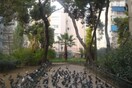 «Σκούπα» στο Πάρκο Κύπρου