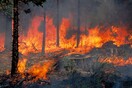Πυρκαγιές σε Φθιώτιδα και Αμφιλοχία