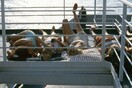 Πειραιάς - Σύρος με το "Μαρίνα". Ιούλιος 2006.