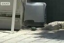 Και δεύτερη χειροβομβίδα στον Σκάι