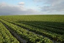Η Κομισιόν μας ζητάει πίσω 424,8 εκ. ευρώ
