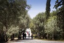 Θεοδοσία, πώς κυλούν οι μέρες κάτω από την Ακρόπολη;