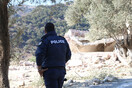 Συνελήφθησαν οι ληστές της Γαύδου