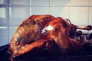 lifokitchen#63