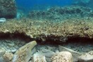 Nέα ευρήματα στην αρχαία υποθαλάσσια περιοχή της Δήλου