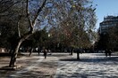 Yψηλές θερμοκρασίες και ομίχλη