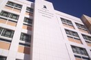 "Πρωταθλήτρια κόσμου" η Νομική Σχολή Αθηνών