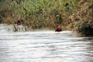 Νεκρός εντοπίστηκε ο 22χρονος Σύρος που είχε χαθεί στον Αξιό ποταμό