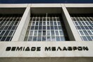 Εισαγγελική έρευνα για τον ακρωτηριασμό κουταβιού στο Λουτράκι