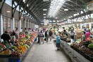 Αγροτικά προϊόντα το 41,5% των ελληνικών εξαγωγών στη Ρωσία