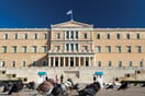 Πού πάνε για να πεθάνουν τα περιστέρια της Αθήνας;