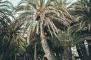 Road Trip στην Ελλάδα - 30 φωτογραφίες με τη ματιά μιας μαγεμένης ταξιδιώτισσας από την Αυστρία