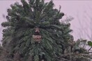 Our Mother: Surprise Machine